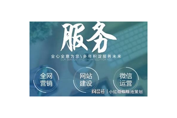 蜘蛛池的弊端