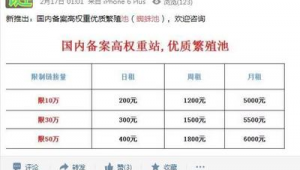 蜘蛛池一般一天多少蜘蛛_蜘蛛池有用吗