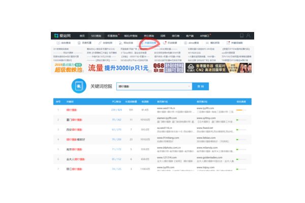 怎么寻找蜘蛛池