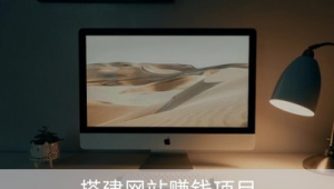蜘蛛池 计费系统 seo