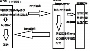 网站蜘蛛池_蜘蛛池收录