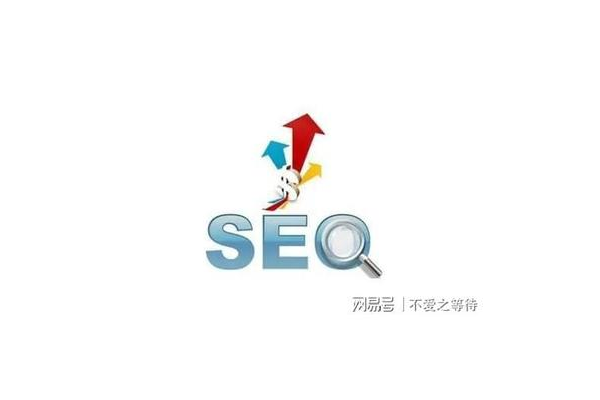 seo蜘蛛池如何