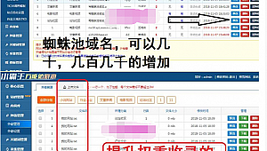 小霸王蜘蛛池使用教程_小霸宠 蜘蛛侠