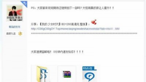 蜘蛛池秒收录_百度蜘蛛池 关键词排名