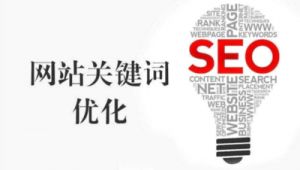 seo 蜘蛛池