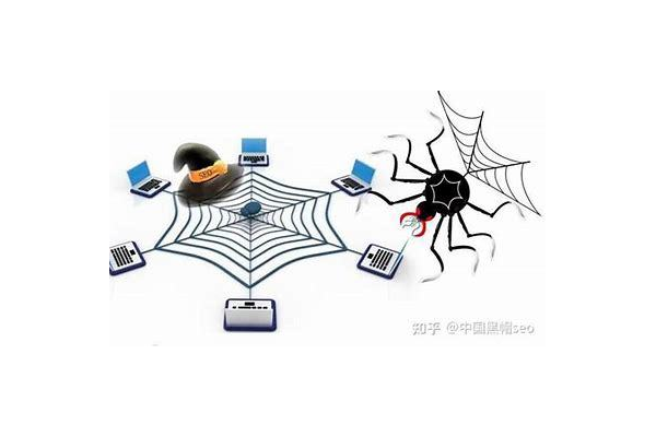 seo公司蜘蛛池