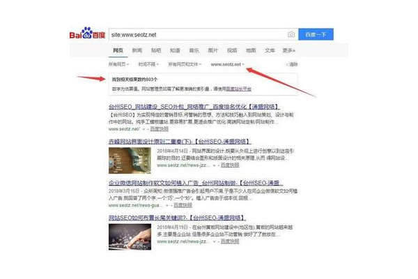 网站成了蜘蛛池