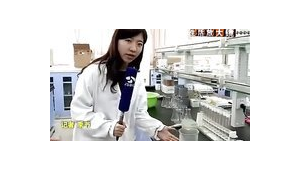 红蜘蛛池程序 多少钱