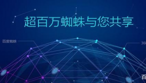 蜘蛛池教程_蜘蛛池如何搭建
