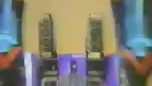 养蜘蛛怎么布置环境_蜘蛛养殖注意什么