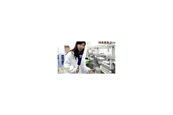 红蜘蛛池 qq