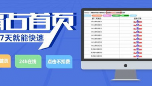 蜘蛛池租用_一个蜘蛛池的成本