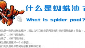 蜘蛛池怎么赚钱_自建蜘蛛池