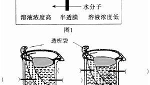 蜘蛛池使用教程_蜘蛛池怎么用