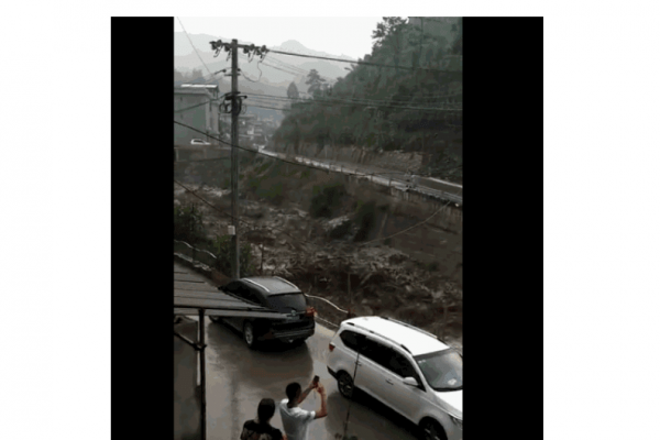 蜘蛛池网红