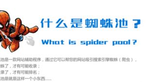 蜘蛛池排名_蜘蛛池是干嘛的