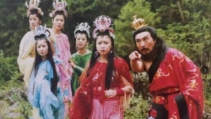 吸引蜘蛛的因素有哪些_怎么吸引蜘蛛从缝隙里面出来
