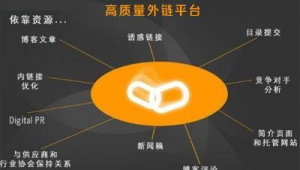 蜘蛛池 外链 原理