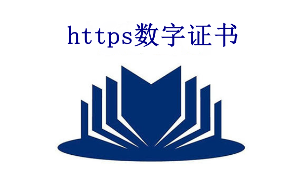 https数字证书是什么？价格是多少？_【蜘蛛池】