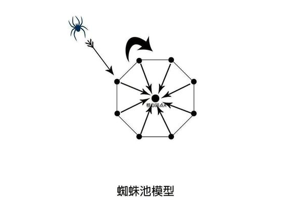 黑帽蜘蛛池图片