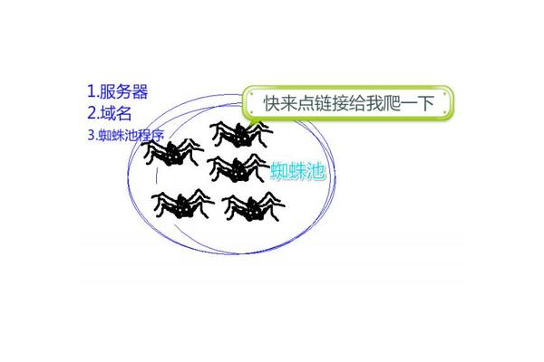 如何构建蜘蛛池_蜘蛛池有什么用