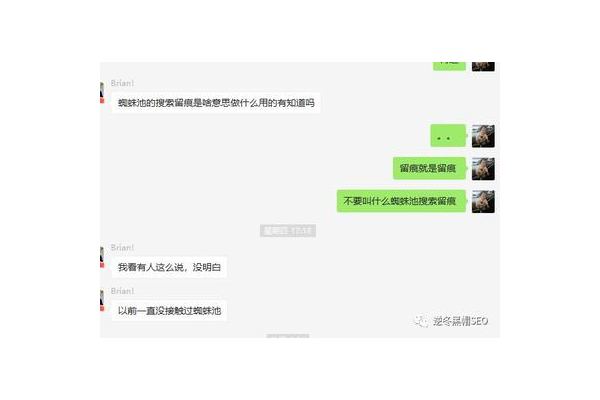 什么是seo留痕蜘蛛池图片_什么是seo留痕蜘蛛池的意思