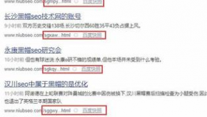 蜘蛛帽的用法_蜘蛛池怎么用