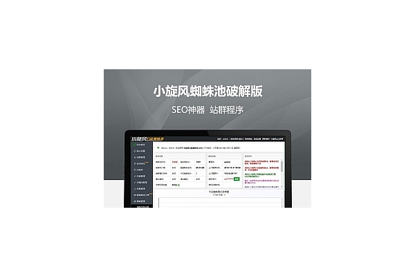 小霸王蜘蛛池漏洞
