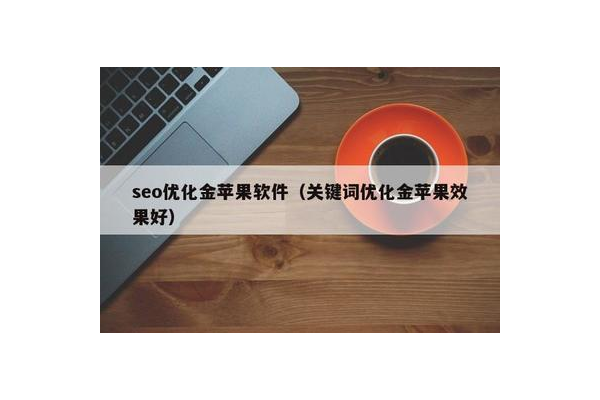 黑帽门app_黑帽论坛seo的详细情况