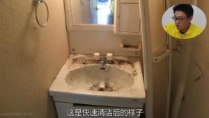 洗手间看见蜘蛛_洗澡间看到蜘蛛怎么办