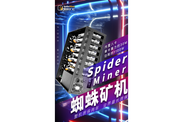 蜘蛛矿池公司
