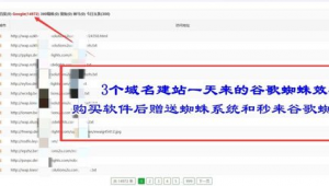 谷歌自建站_如何搭建蜘蛛池