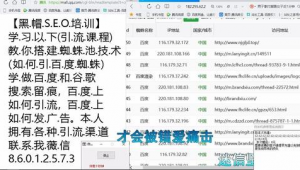 谷歌蜘蛛池搭建_谷歌蜘蛛池出租包月