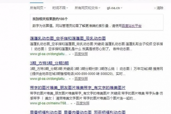 蜘蛛池是干嘛的_新闻蜘蛛长什么样子