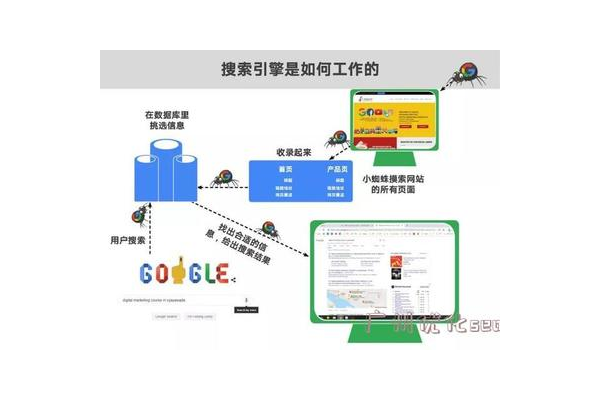 谷歌小蜘蛛池