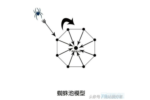 蜘蛛抓取蜘蛛池怎么做_蜘蛛捕捉虫子