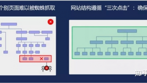 蜘蛛池到底有没有用_蜘蛛池使用教程