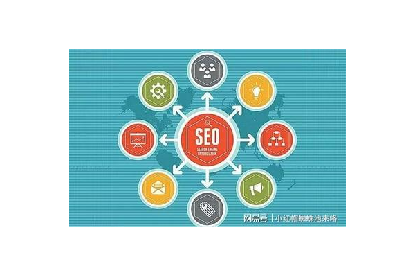 seo蜘蛛池优化
