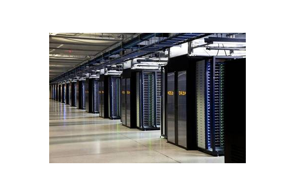 蜘蛛池没有蜘蛛网吗?探寻其真相,一组图片揭示惊人秘密