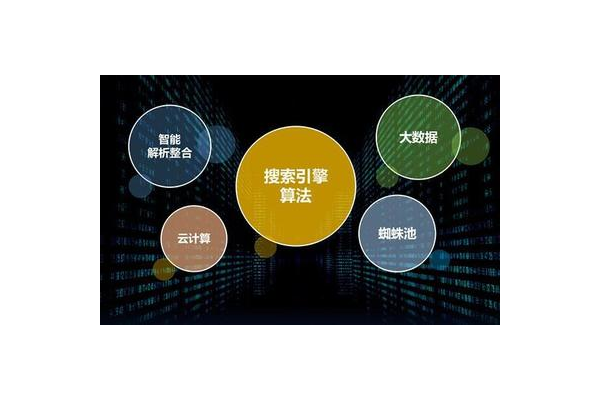 蜘蛛池出租测试_蜘蛛池模板