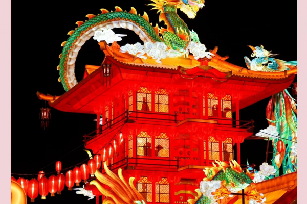 龙腾蜘蛛池