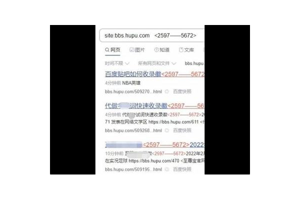 百度黑帽排名软件