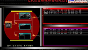 股票金蜘蛛战成功率多大_金蜘蛛买入规则
