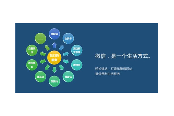 蜘蛛池外链_seo具体怎么优化seo技术蜘蛛屯