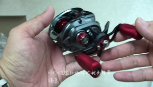 红蜘蛛系统怎么脱离控制_红蜘蛛砖