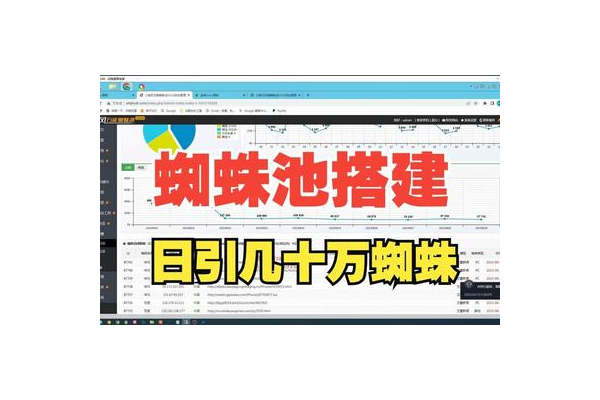 东莞蜘蛛池出租包月_东莞大蜘蛛