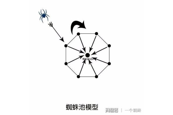 蜘蛛池是啥意思
