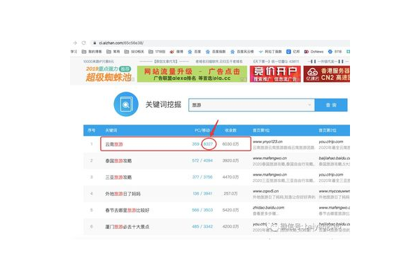 点击和蜘蛛池