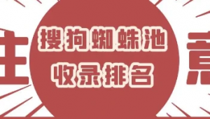 一个蜘蛛池的成本_蜘蛛池收录一般要多久