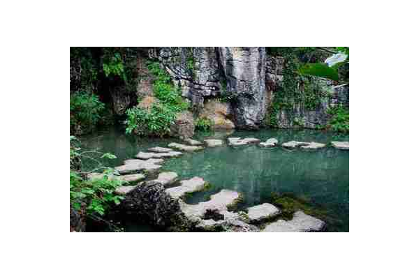 福建神马蜘蛛池租用，快速提升网站排名